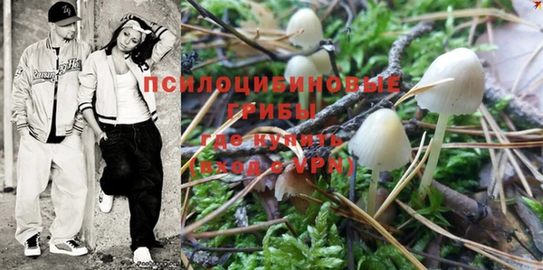apvp Кинешма