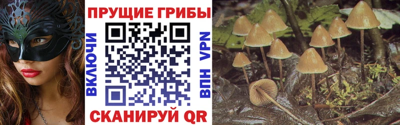 Купить  Бахчисарай  Галлюциногенные грибы ЛСД 