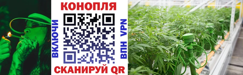 Купить  Бахчисарай  Бошки Шишки семена 